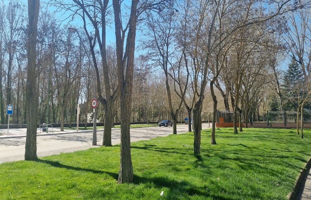 Foto de inmueble: CASA REFORMADA A CAPRICHO EN LA ZONA PLANTIO
